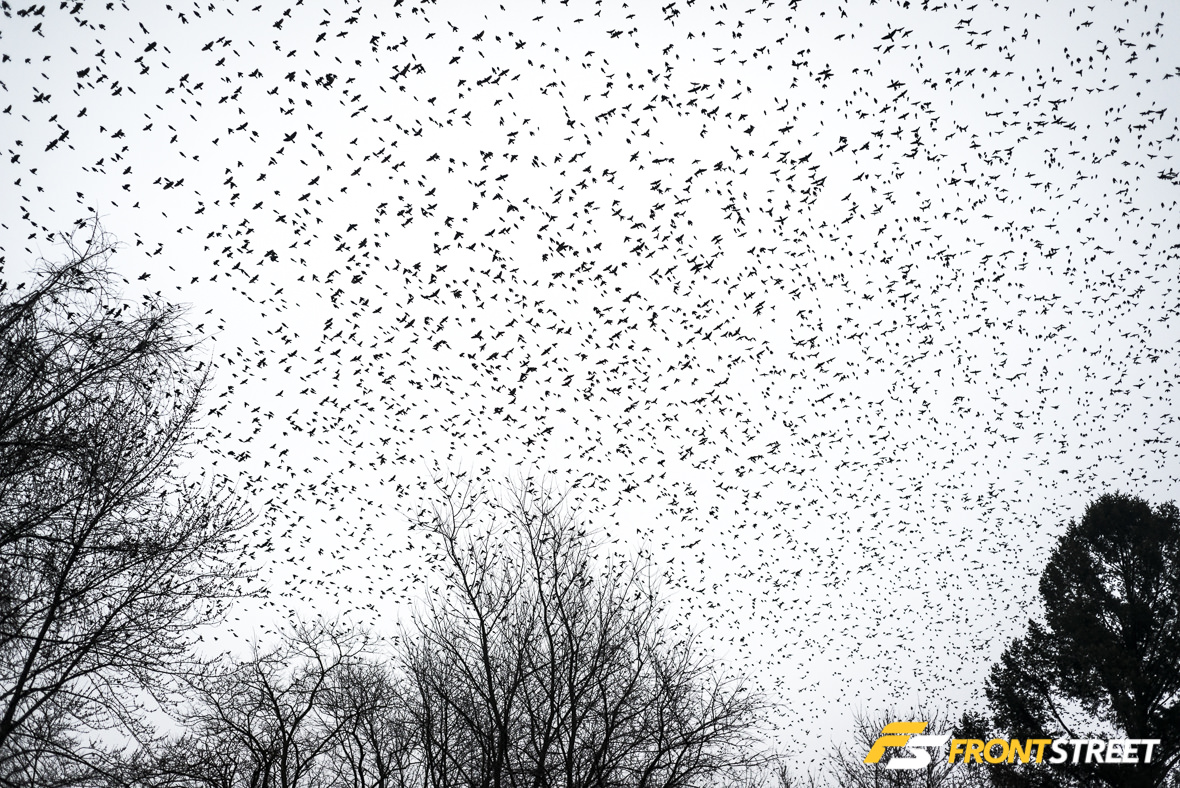 1986 Porsche 930 Turbo by Rob Ida