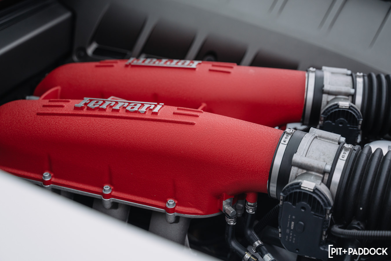 2005 Ferrari F430 by Terry Nguyen