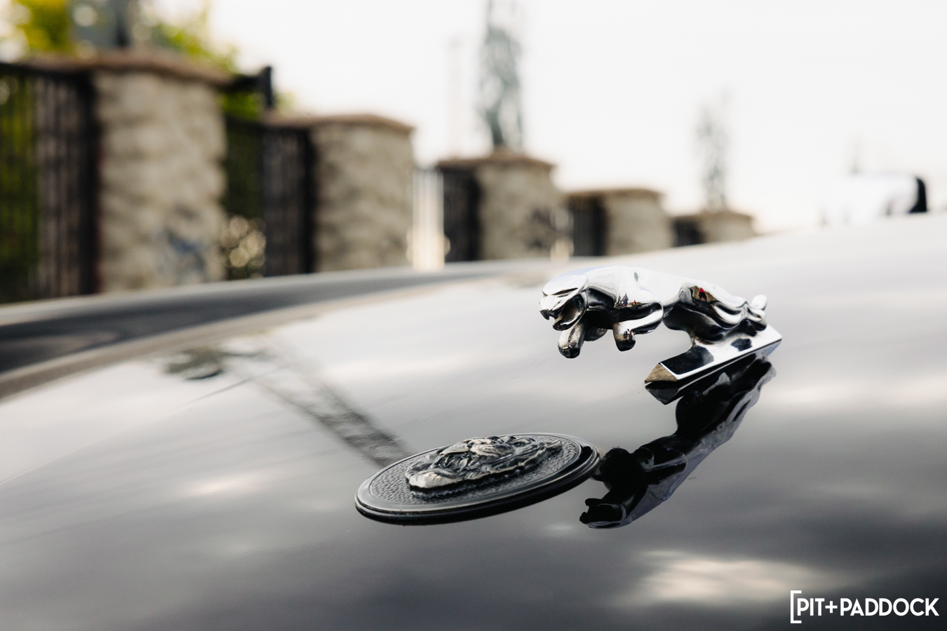 1990 Jaguar XJS V12 Rogue Edition by Bryan Pontifes