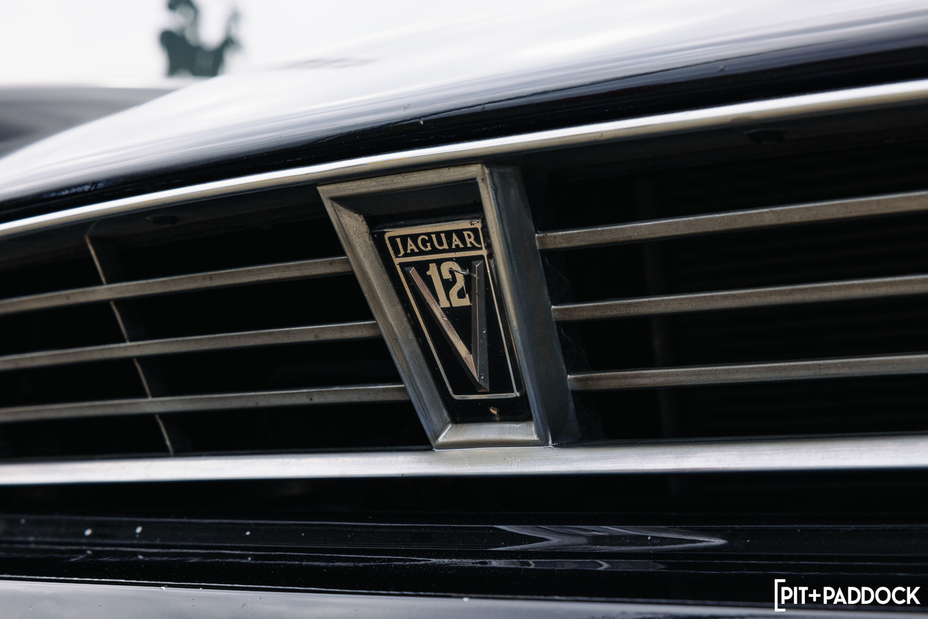 1990 Jaguar XJS V12 Rogue Edition by Bryan Pontifes